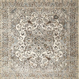 Caymen Oriental Indoor Rug