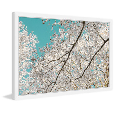 Judy Stalus - Single Picture Frame Print