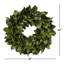 Magnolia Leaf Wreath-1809458387