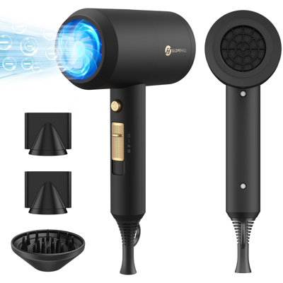 Séchoir à cheveux professionnel professionnel, puissant séchoir à séchage rapide à faible bruit de 1800 W avec 2 buses de concentrateur et 1 accessoire de diffuseur pour les voyages à domicile