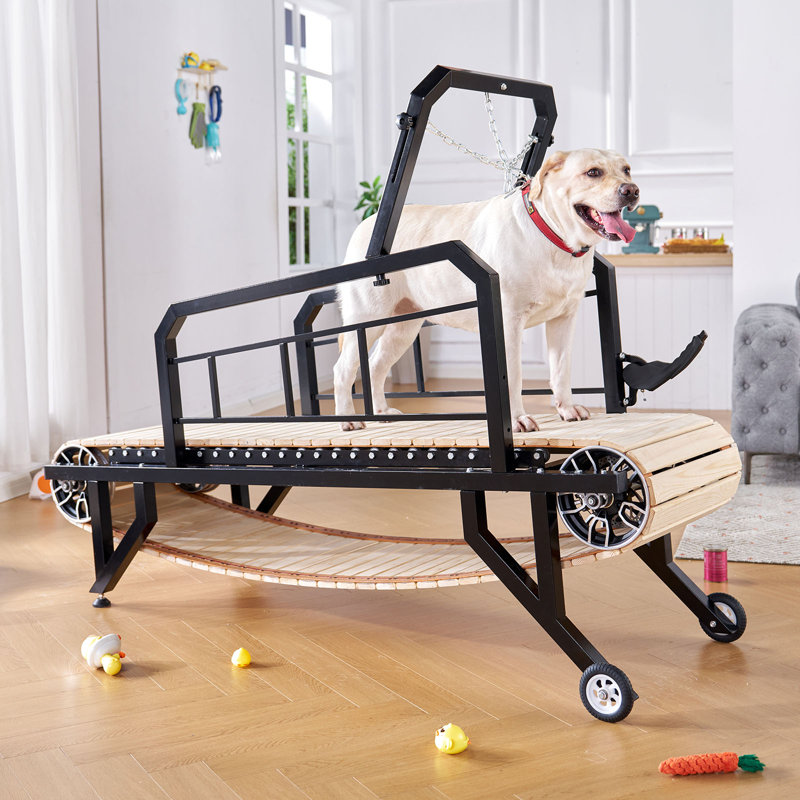 Dog Treadmill with Hand Brake, Up to 300lbs, 19" W