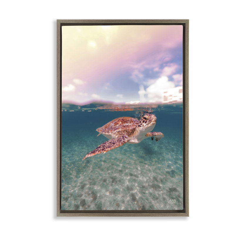 Toile flottante «Above & Dessous Sea Turtle» par Max Blakesberg Studios, Cadre flottant orme Montalcino, H 25 po x l 17 po