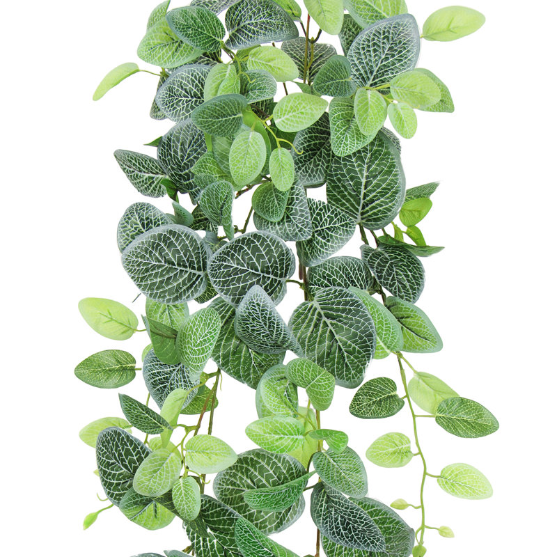 Plante artificielle suspendue lierre Fittonia, H 32 po x l 12 po x P 6 po