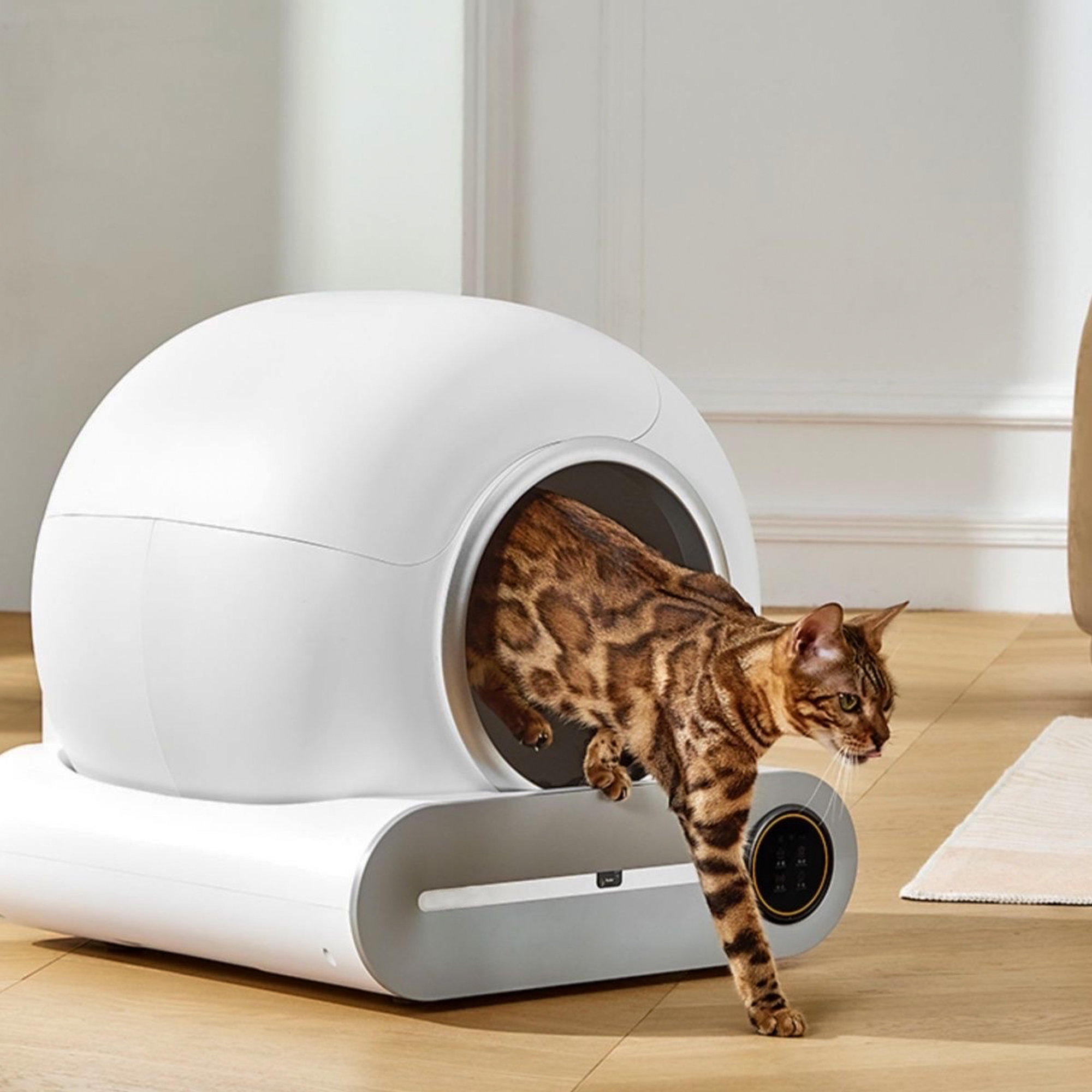 https://assets.wfcdn.com/im/71600852/compr-r85/2508/250864445/albina-scoopfree-automatic-self-cleaning-cat-litter-box-with-app-control.jpg