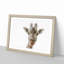 Curious Giraffe in Abstract - Picture Frame Graphic Art Print-55679590-55679594