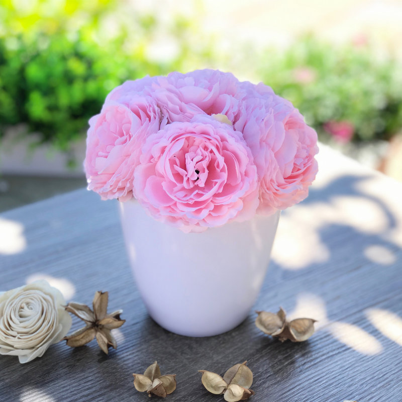 Dissimulateurs de fleurs en pot pivoines, Rose