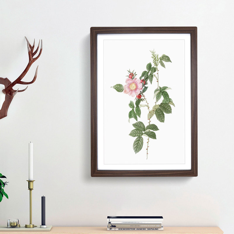 Dog Rose in Pink by Pierre-Joseph Redoute - Picture Frame Painting Print, 36cm H x 27cm W x 2cm D, Walnut Framed