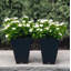 Valencia Composite Pot Planter-1777349206