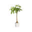 B.For Pot Planter-37904857-70004569