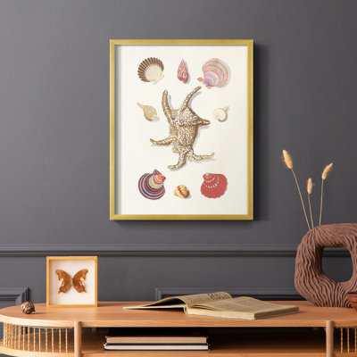 Knorr Shells & Coral II, reproduction encadrée - bois massif