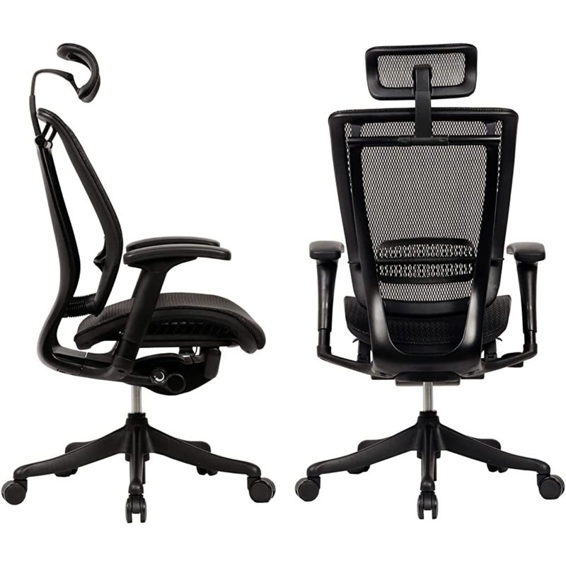 Ergonomic High Back Mesh Executive Chair with Headrest, Seat Slide, Adj Lumbar Support, Black