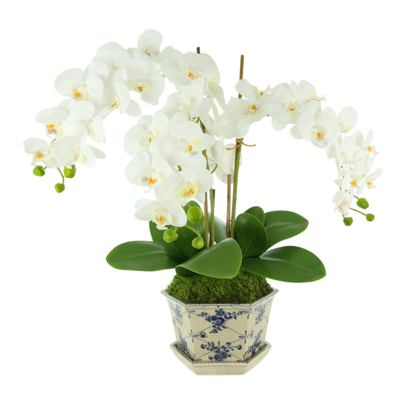 Orchid Floral Arrangement In Decorative Vase With Leaves And Bamboo