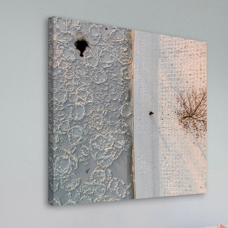 Karolis Janulis - Wrapped Canvas Print, 81 cm H x 81 cm W x 3.81 cm D
