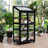 Wood Greenhouse with Adjustable Shelves and Wheels, Portable Cold Frame for Indoor/Outdoor-114011623