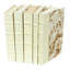 5 Piece Parchment Decorative Book Set