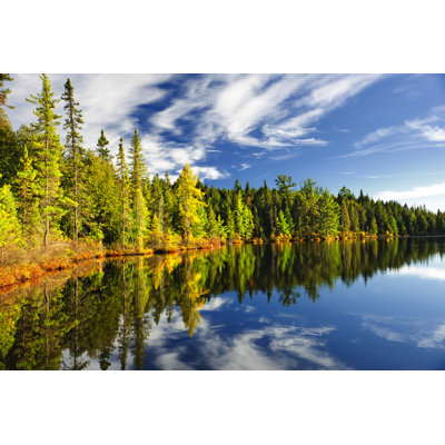 Amreeta " Forest Reflecting In Lake " by Elenathewise