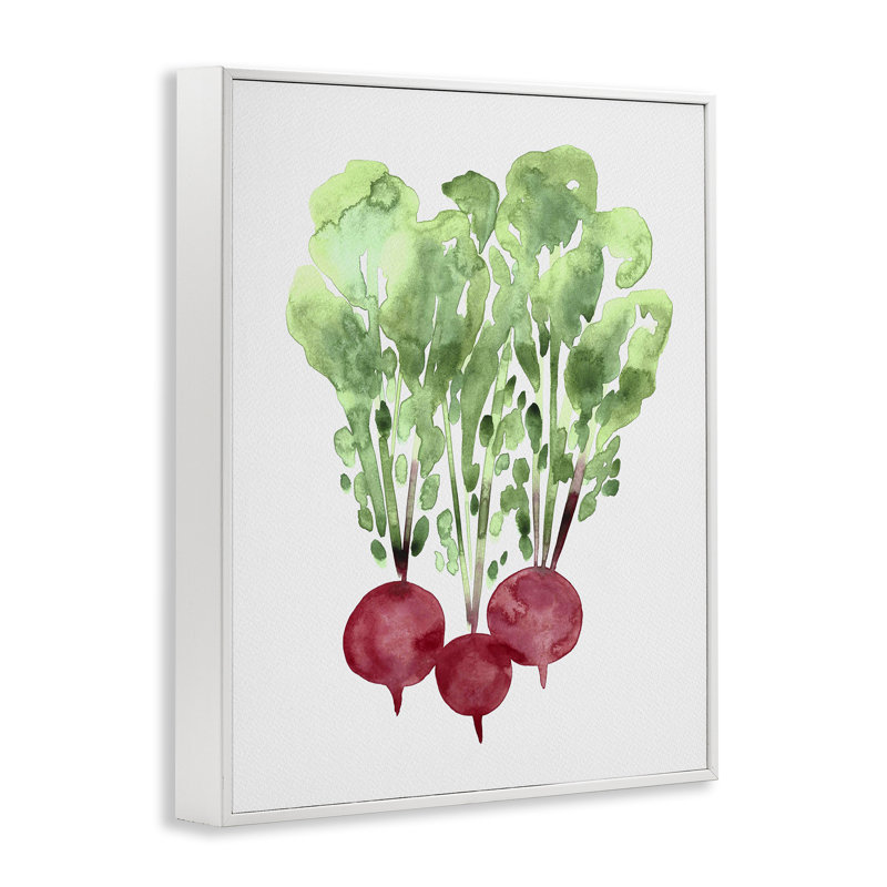 Aquarelle, radis de jardin, estampe numérique, design par Camila Juncos, H 30 po x l 24 po