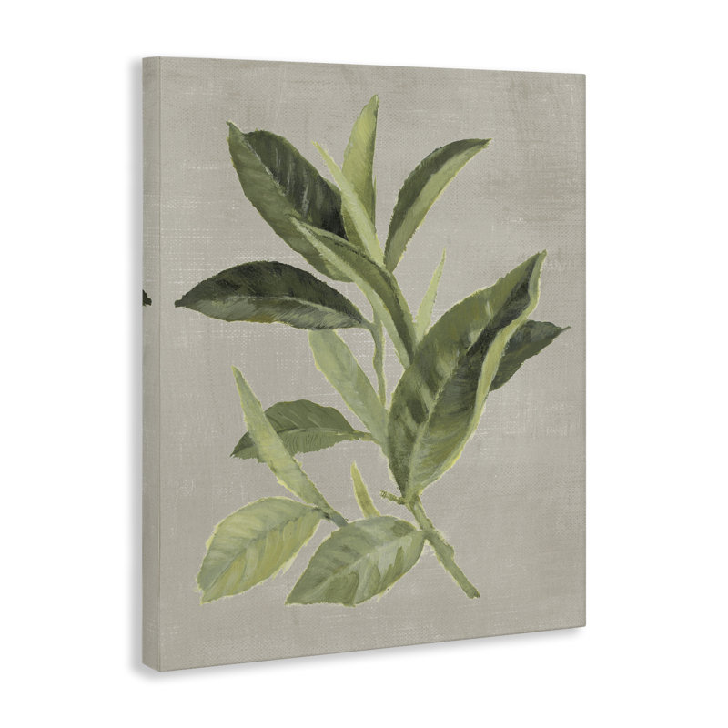 «Green Tea Plant Leaf», conception par Lanie Loreth, H 20 po x l 16 po
