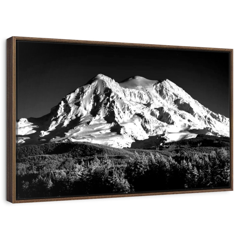 Mont Shasta monochrome, 19 po x 13 po, Cadre flottant noyer