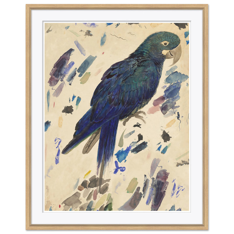 «Watercolor Birds», ensemble de 4 reproductions d'art sur papier encadrées