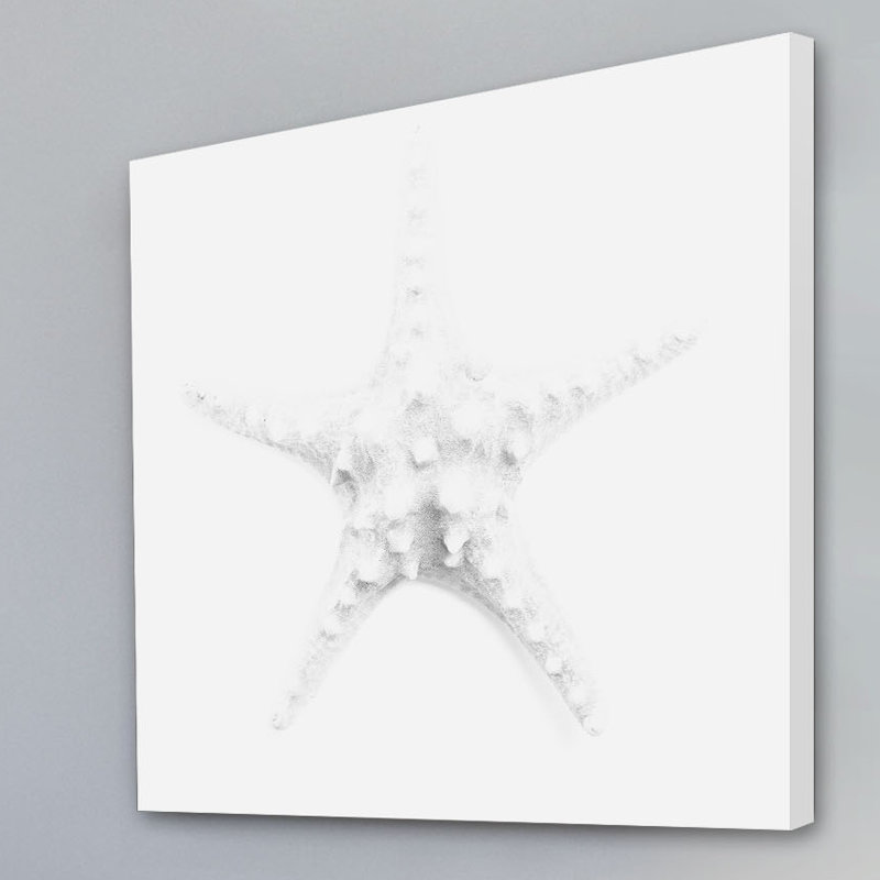 Shiro Star - Wrapped Canvas Print, 81cm H x 81cm W x 3.81cm D