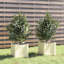 Alatea Wood Planter Box-967479410-967479408