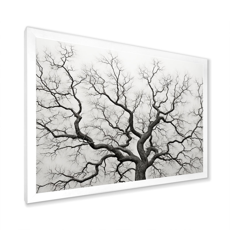 Minimalisme, arbres en chêne noir et blanc I sur toile, Cadre photo blanc, H 12 po x l 20 po x P 1 po