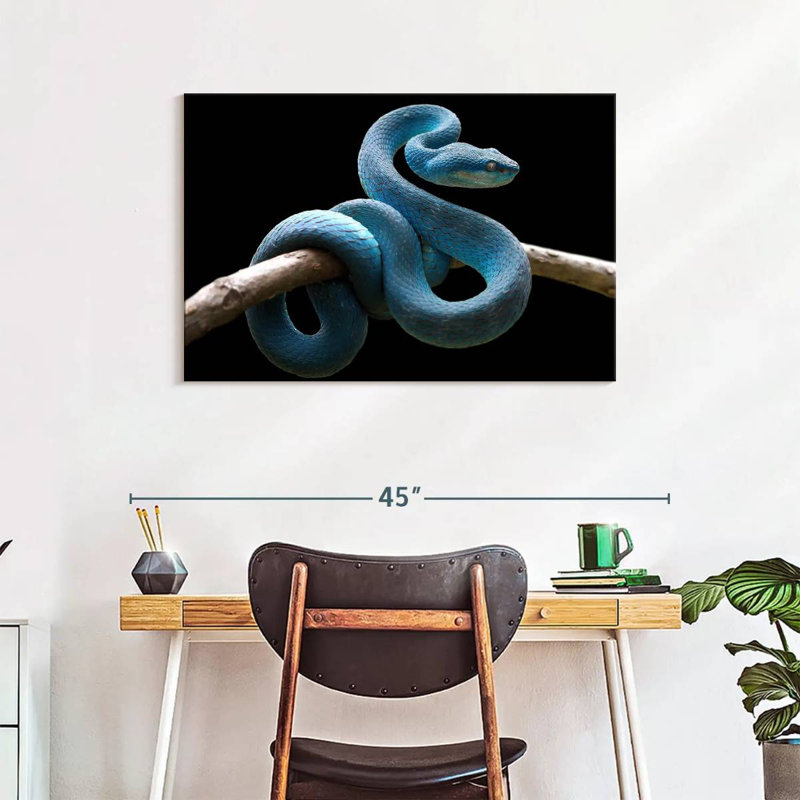 Brampt Blue Viper Snake, 24" H x 36" W