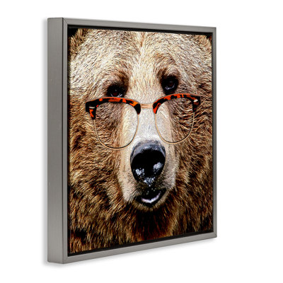 Grizzly avec lunettes