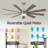 Babrak 65'' Ceiling Fan with LED Lights-777151485