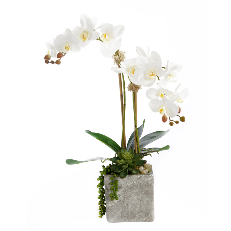 Orchid Faux Floral Arrangement in Pot