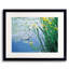 Iris and Lily Pads Design Framed Print