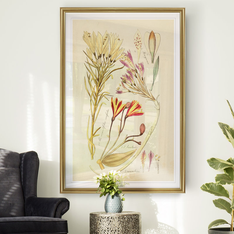Reproduction botanique antique sur toile, H 22,5 po x l 30,5 po x P 1,5 po, Cadre doré