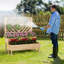 Nolic Wood Planter Box-528277958
