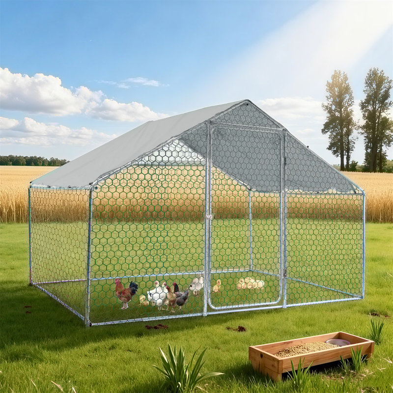 Outdoor Chicken Coop