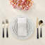 Raffia Cotton Sateen Dinner Napkins