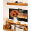 Arrangement floral tournesol en pot
