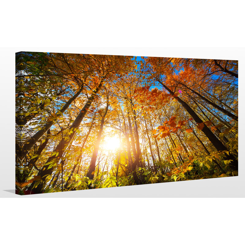 « automne aura », reproduction de photo sur toile tendue, H 36 po x l 60 po x P 1,5 po