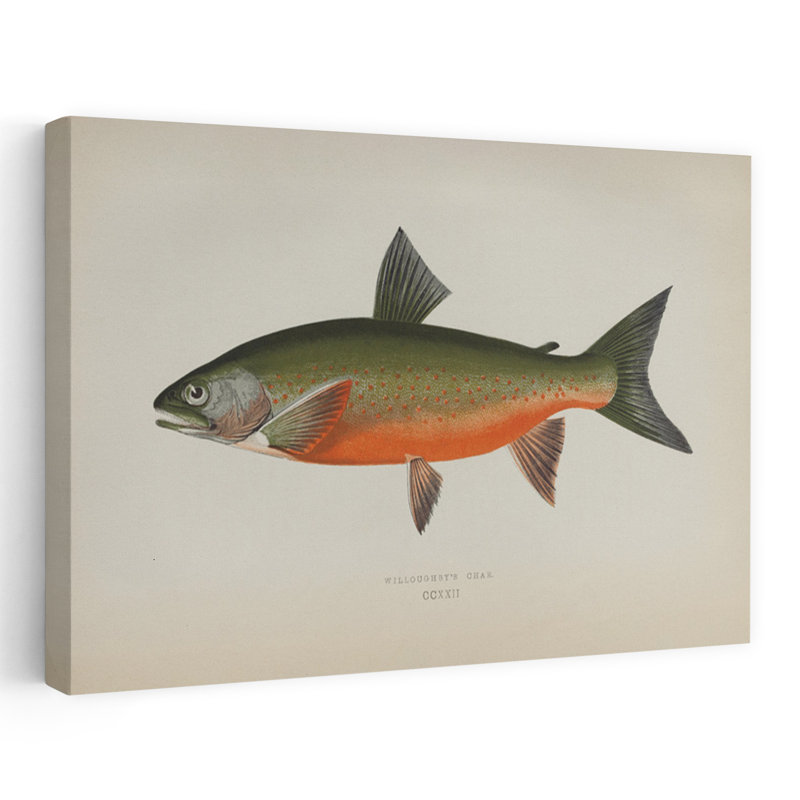 Reproduction d'art mural Willoughbys Char, 40" H x 60" W