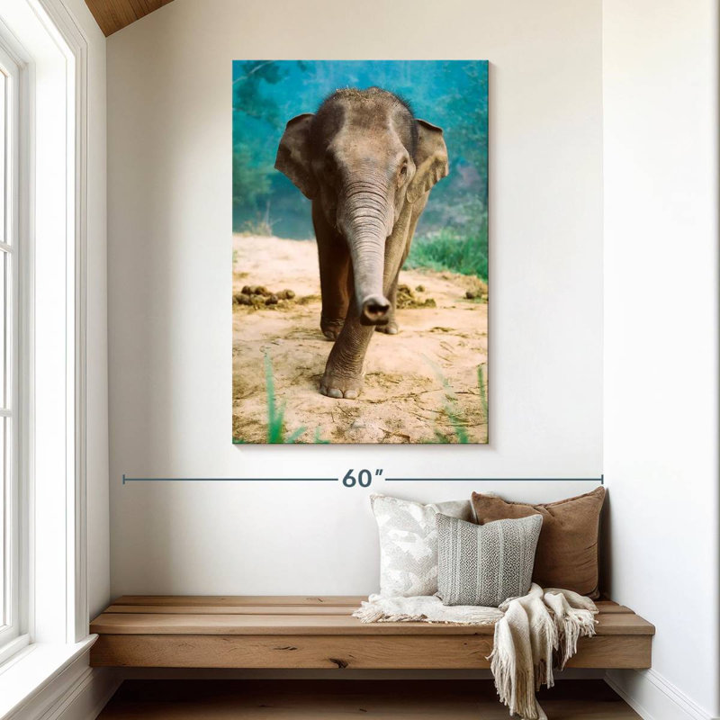 Curieux bébé éléphant Brampt, H 48 po x l 32 po