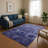 Premium Machine Washable Ralston AMF1944 Panels Rug-7297599