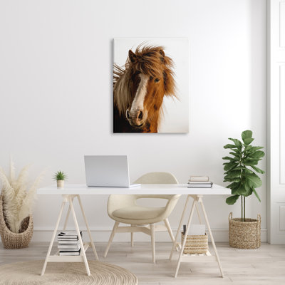 «Long Mane Horse Équitation», photographie animalière brune sur toile tendue XXL par Danita Delimont