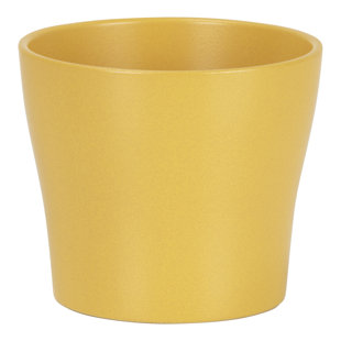 Ceramic Cachepot (Set of 2)