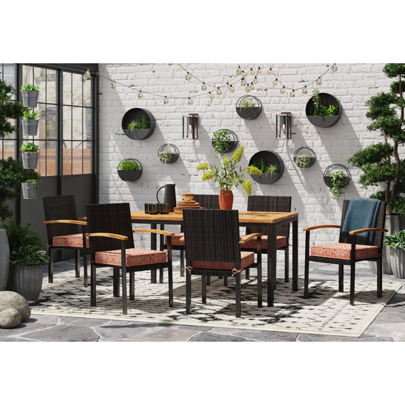 Black Iron Round Wall Planter Set for Indoor Plants