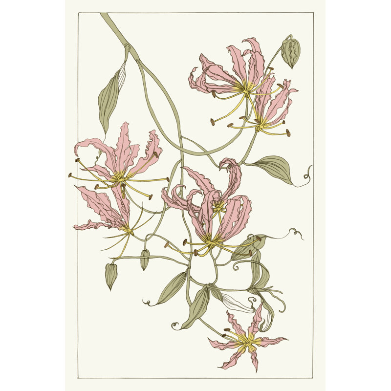 Botanical Gloriosa Lily II by Melissa Wang - Wrapped Canvas Painting, 46 cm H x 30 cm W, Wrapped Canvas