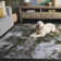 Bayside 128 Performance Machine Washable Abstract Rug