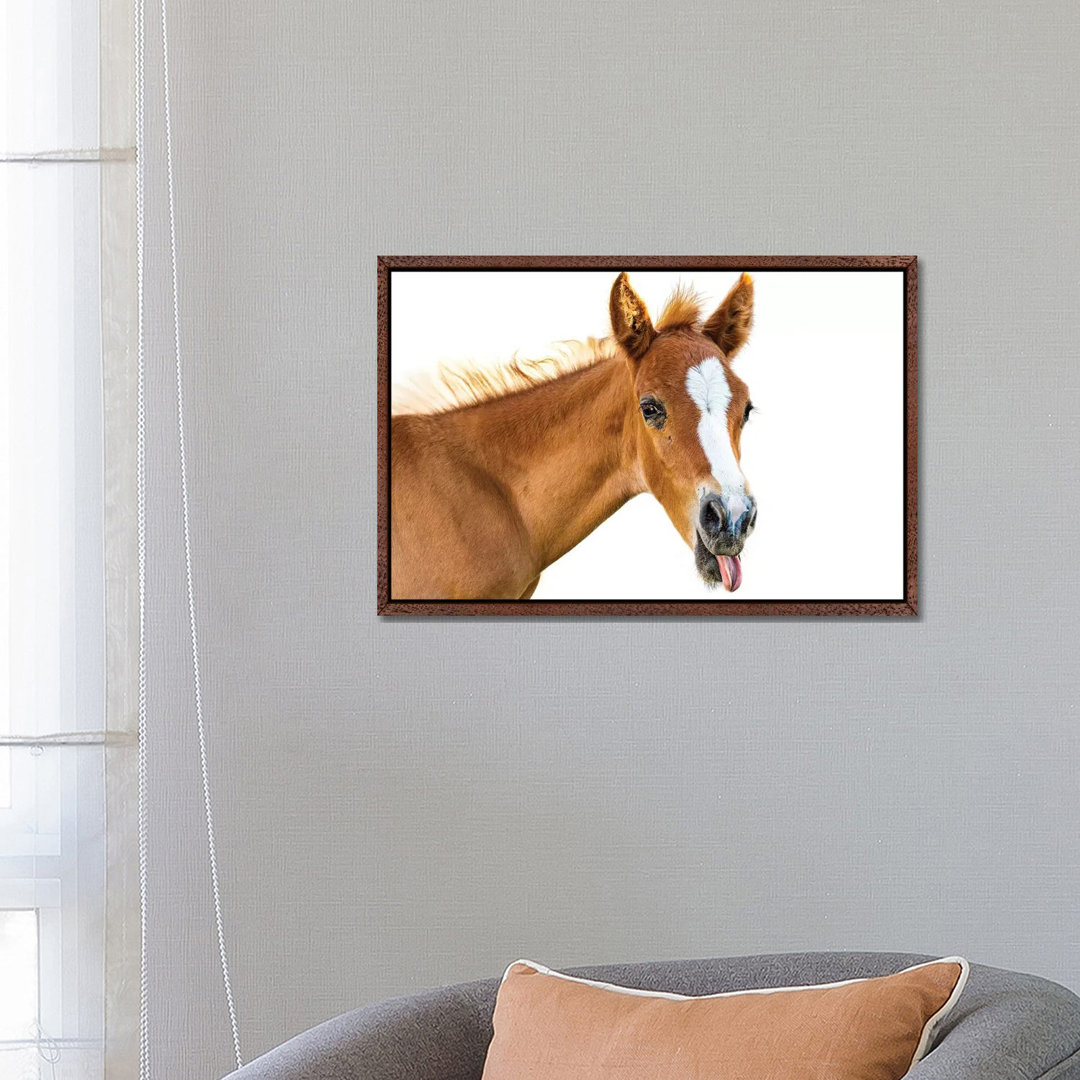 Funny Baby Horse Sticking Tongue Out by Susan Richey - Gallery-Wrapped Canvas Giclée on Canvas