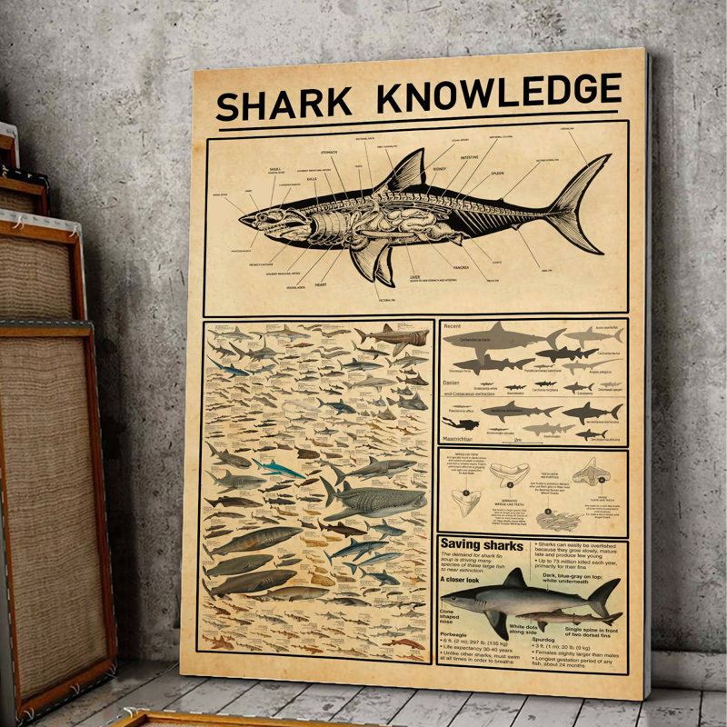 Toile tendue Shark