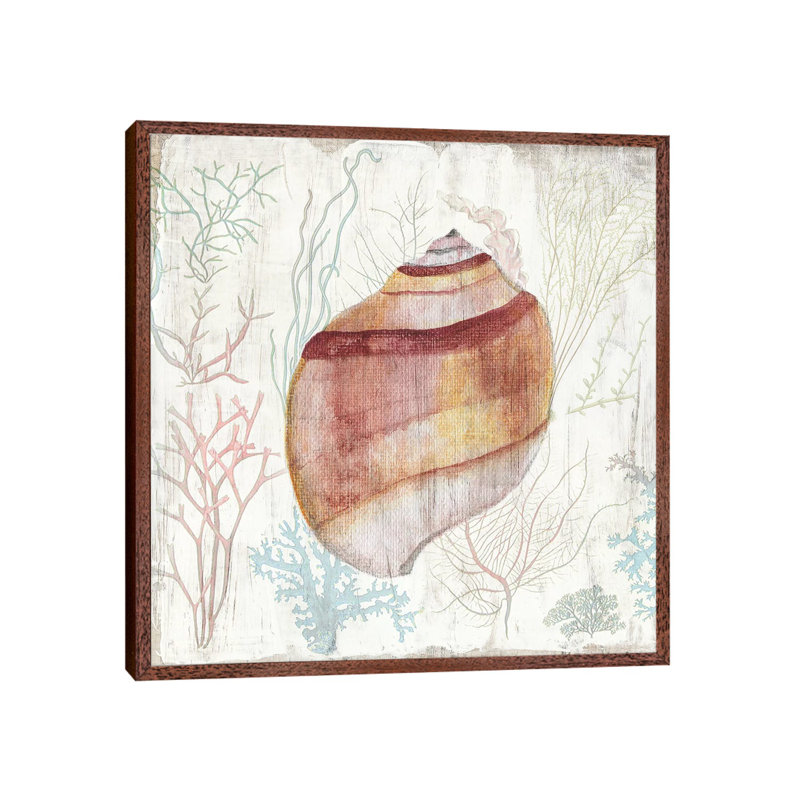 Coral And Shell II by Tava Studios - Gallery-Wrapped Canvas Giclée on Canvas, 45.72 cm H x 45.72 cm W, Classic Wood Framed