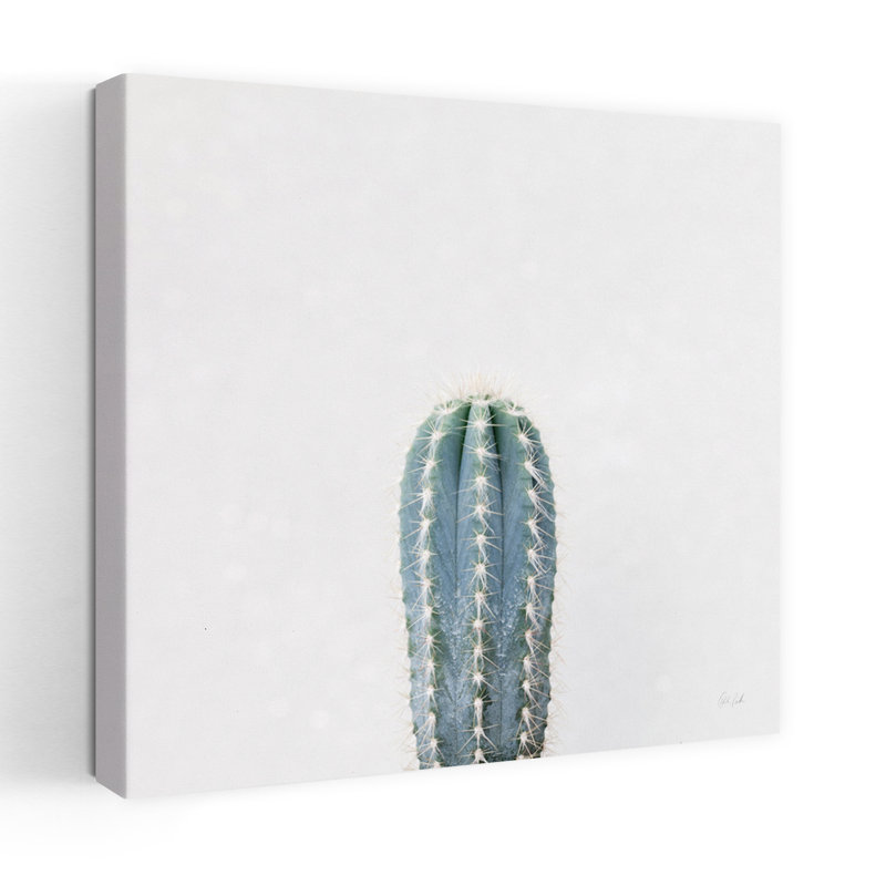 Contemporary Contemporary Treasures III avec art de cactus bleus, H 48 po x l 48 po